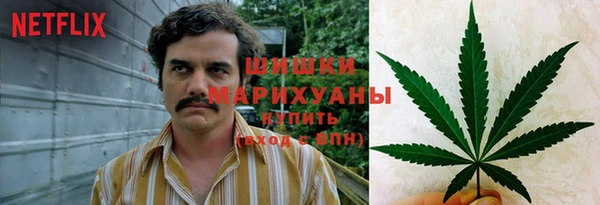 индика Арсеньев