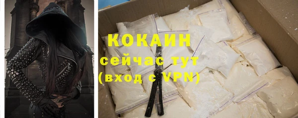 индика Арсеньев