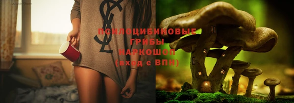 каннабис Аркадак