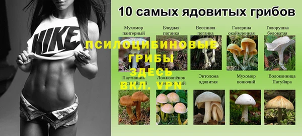 бутират Алексеевка