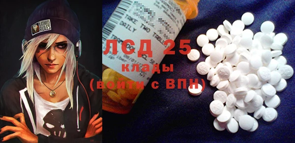 индика Арсеньев