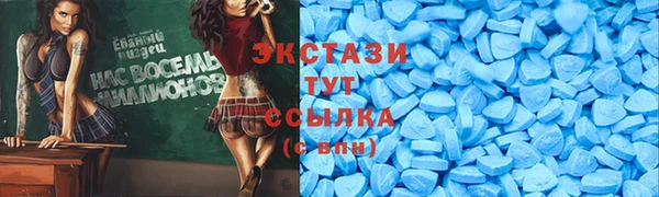 индика Арсеньев