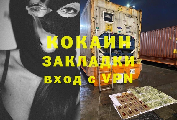 индика Арсеньев