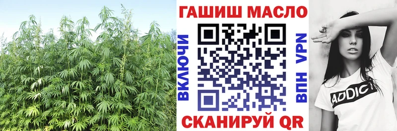 ТГК Wax  Енисейск 